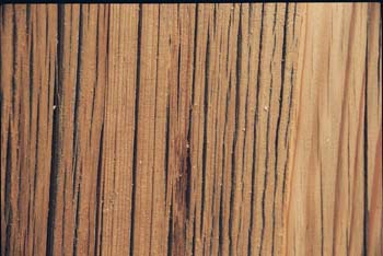 furniture 115